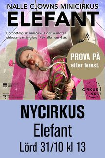 NYCIRKUS Elefant
